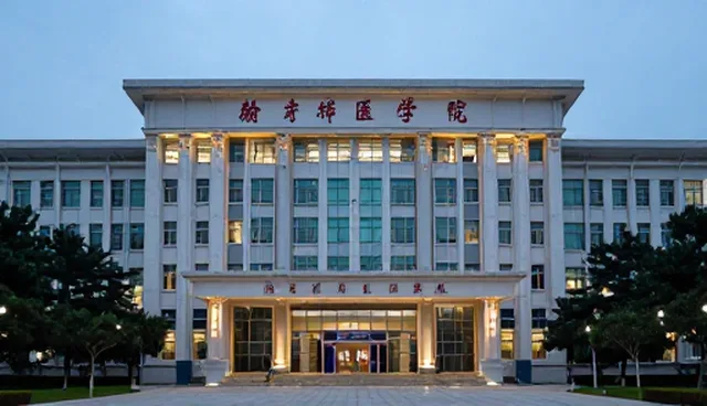 社交媒体代运营如何应对信息孤岛问题
